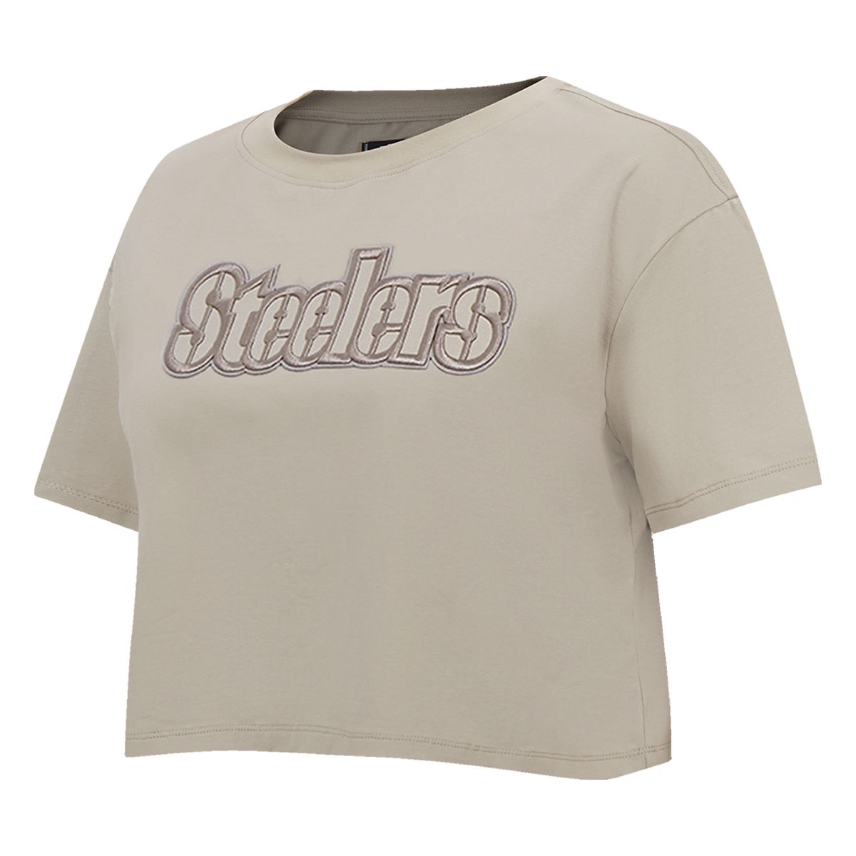 Pittsburgh Steelers Women's Pro Standard Essential Neutral Boxy Crop Short Sleeve T-Shirt