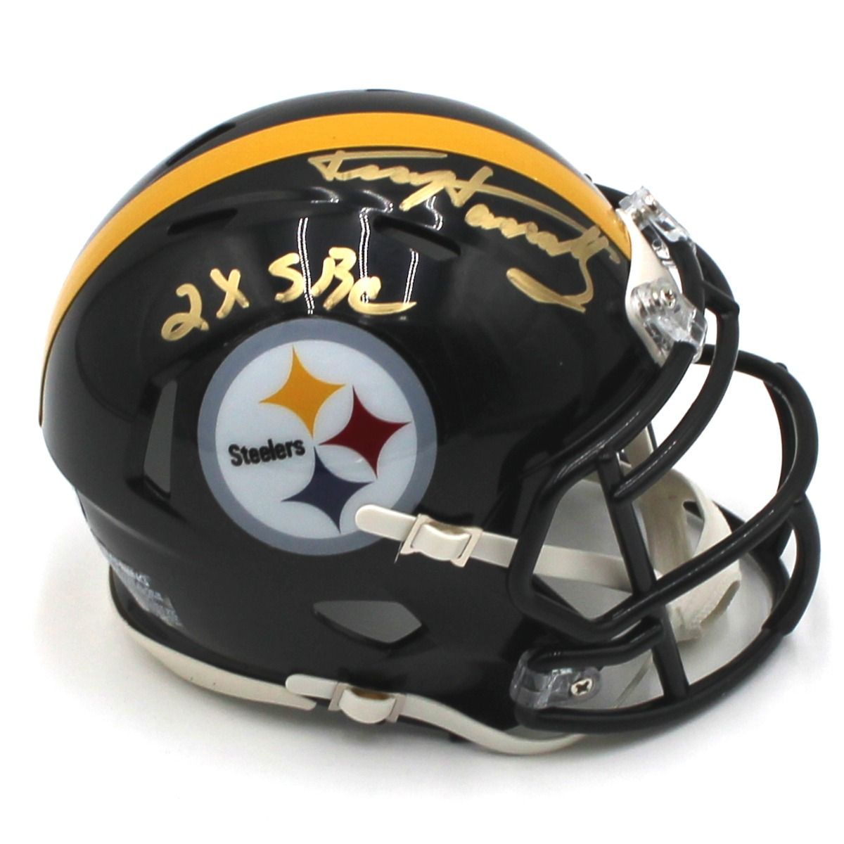 Pittsburgh Steelers #5 Terry Hanratty Autographed Riddell Speed Mini Helmet