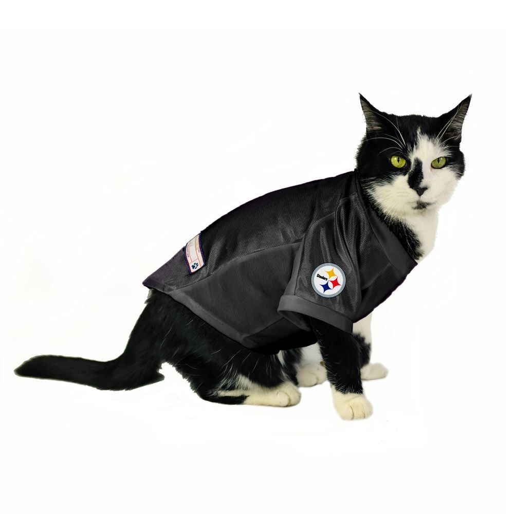Pittsburgh Steelers Big Personalized Pet Stretch Jersey