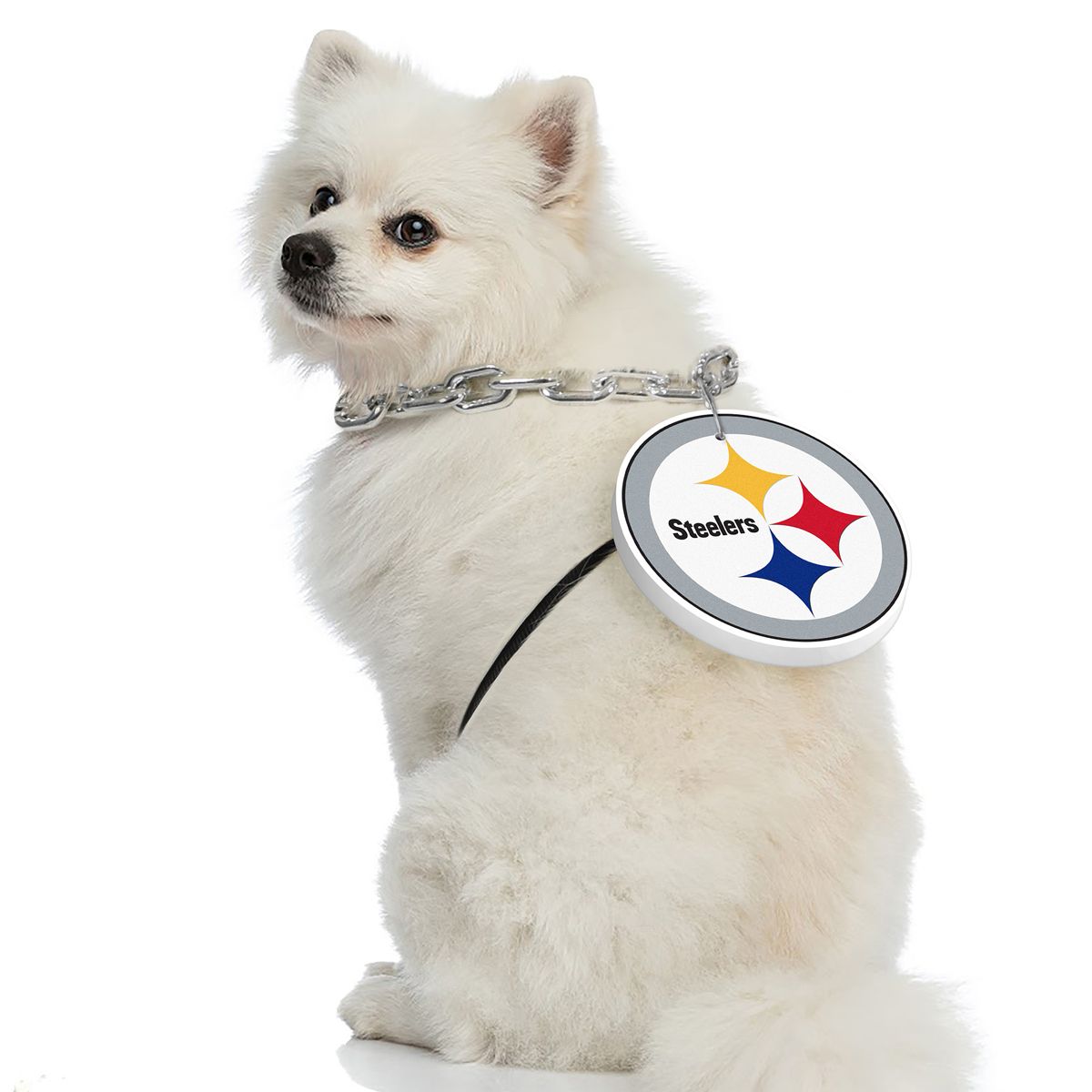 Pittsburgh Steelers Pet Fan Chain