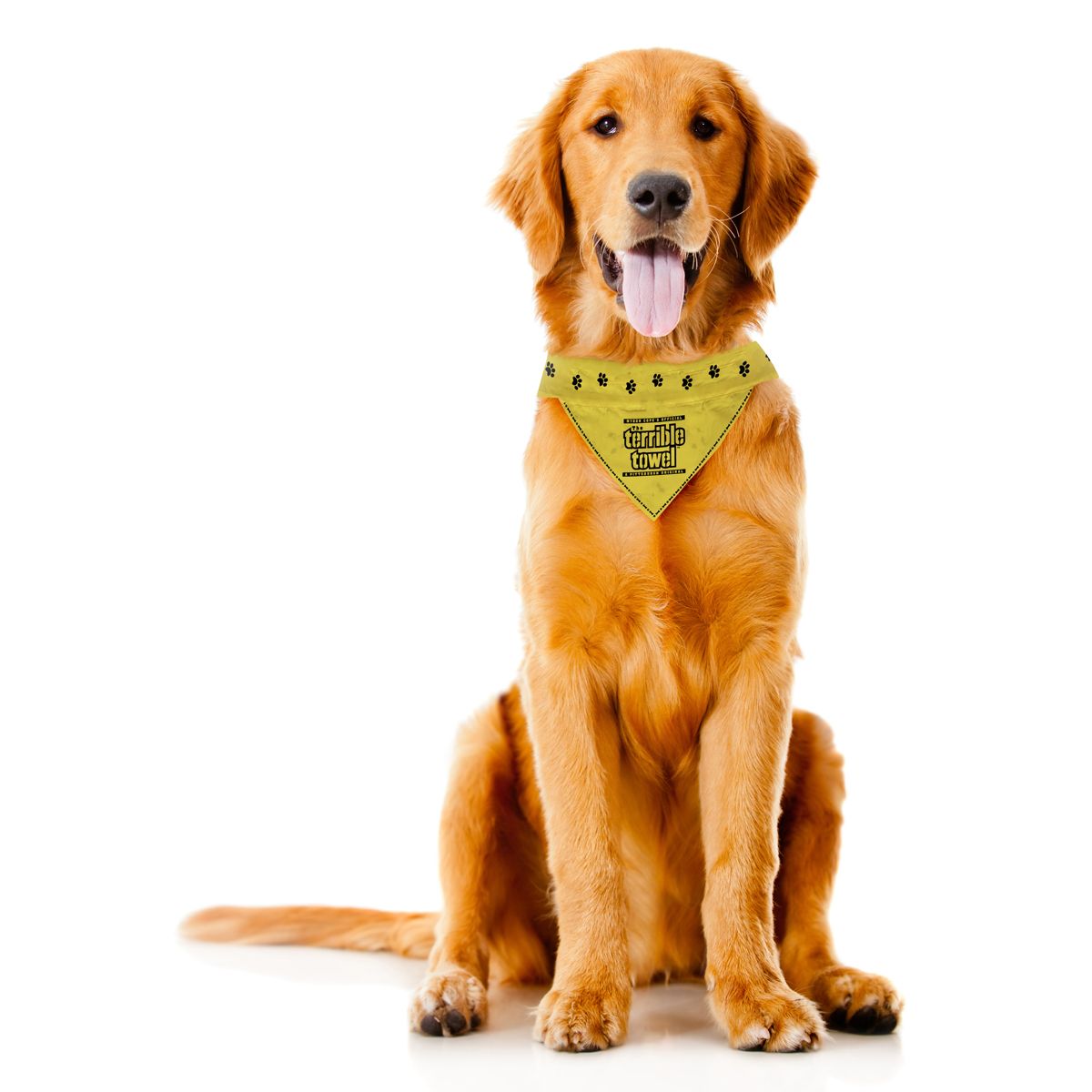 Pittsburgh Steelers Terrible Towel® Pet Bandana Collar