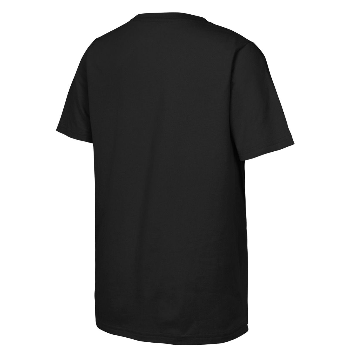 Pittsburgh Steelers Youth Paris Short Sleeve T-Shirt