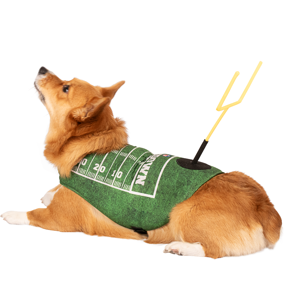 Pittsburgh Steelers Goal Post Harness Pet Costume 4 Pittsburgh Steelers Goal Post Harness Pet Costume