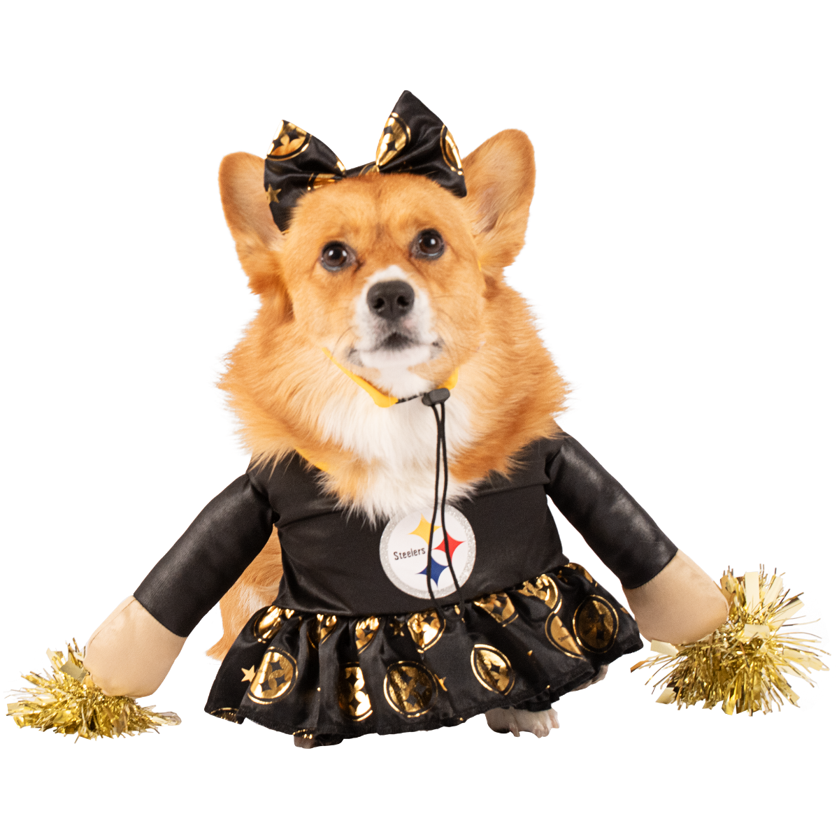Pittsburgh Steelers Cheerleader Pet Costume 10 Pittsburgh Steelers Cheerleader Pet Costume