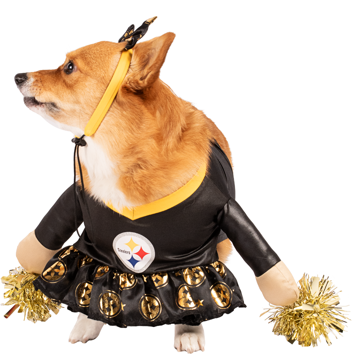Pittsburgh Steelers Cheerleader Pet Costume 2 Pittsburgh Steelers Cheerleader Pet Costume