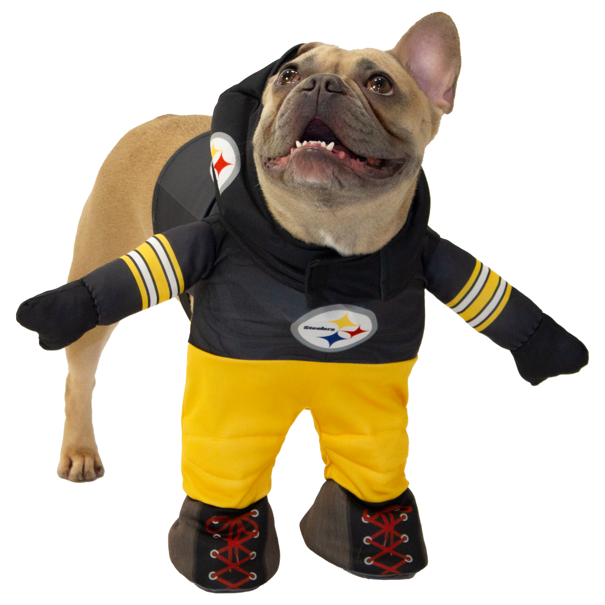 Pittsburgh Steelers Player Pet Costume 4 Pittsburgh Steelers Player Pet Costume