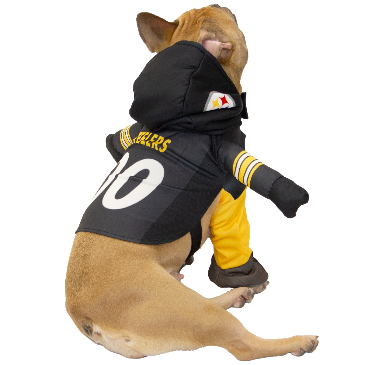 Pittsburgh Steelers Player Pet Costume