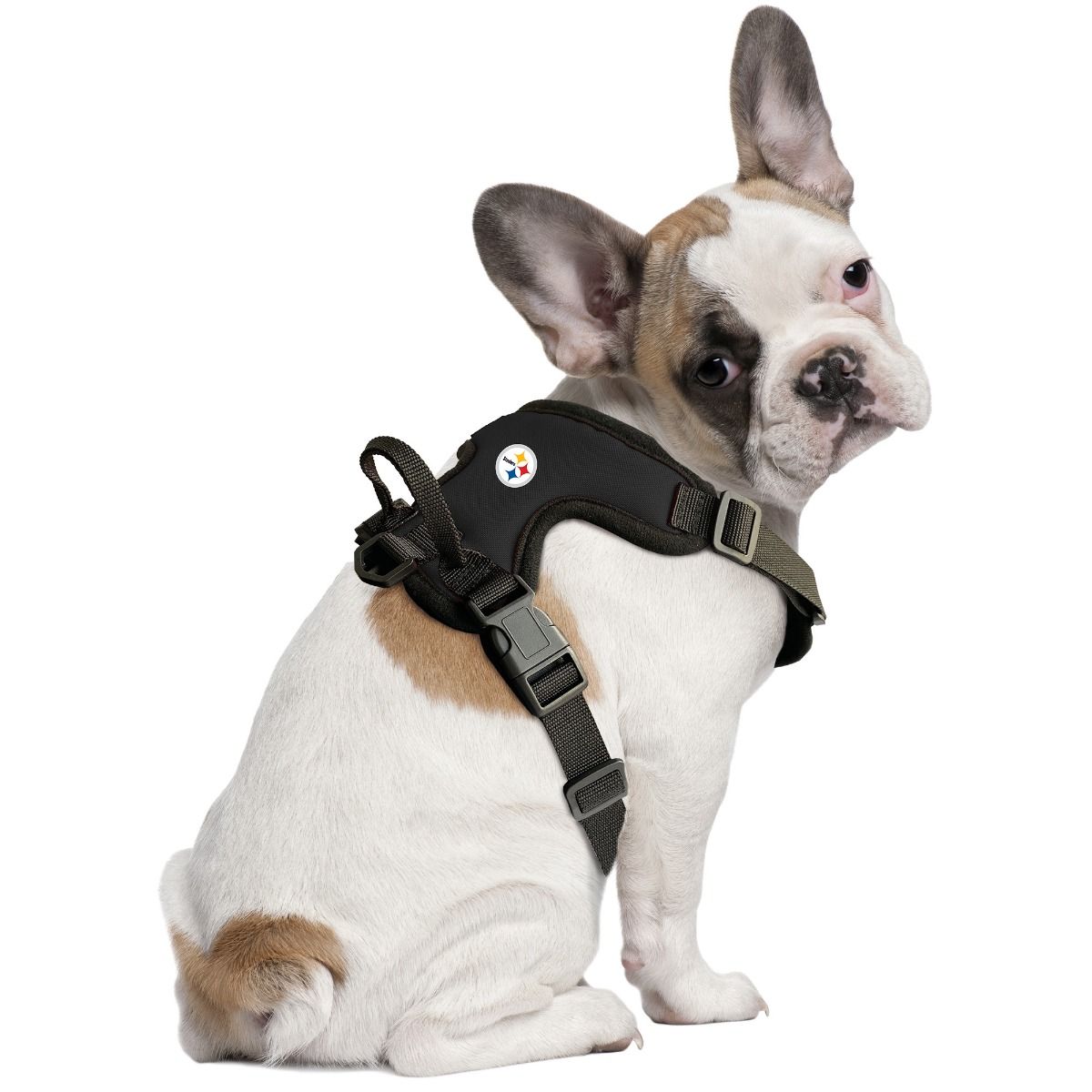 Pittsburgh Steelers Front Clip Pet Harness 1 Pittsburgh Steelers Front Clip Pet Harness