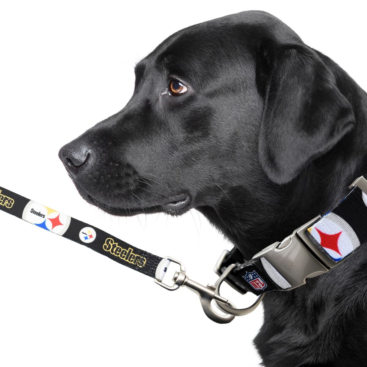 Pittsburgh Steelers Premium Dog Lead