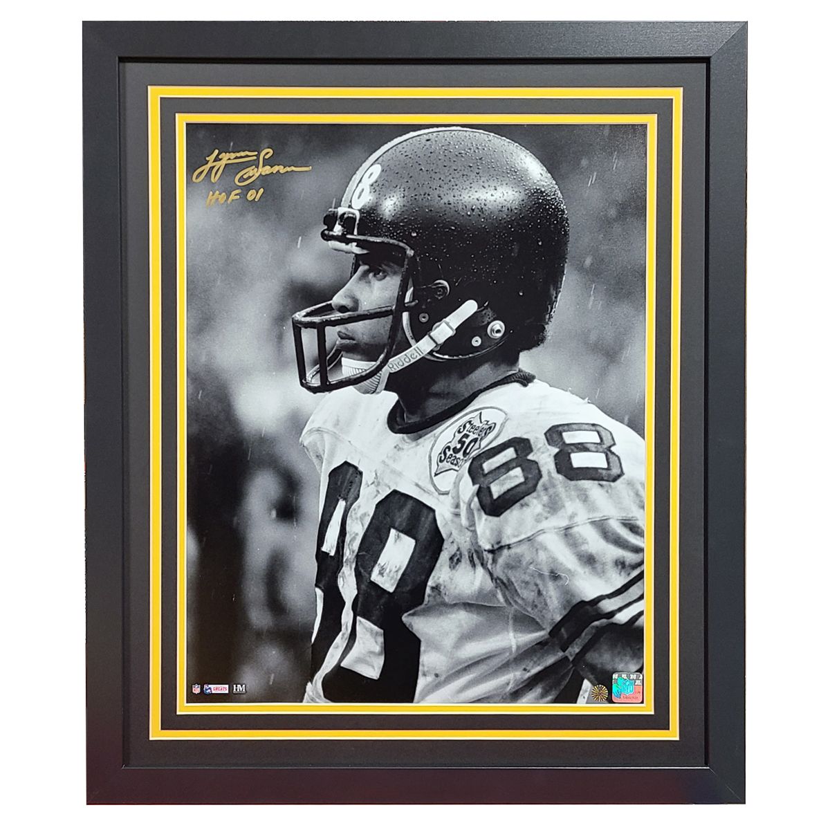 Pittsburgh Steelers #88 Lynn Swann Close Up Signed Framed 16x20 Photo