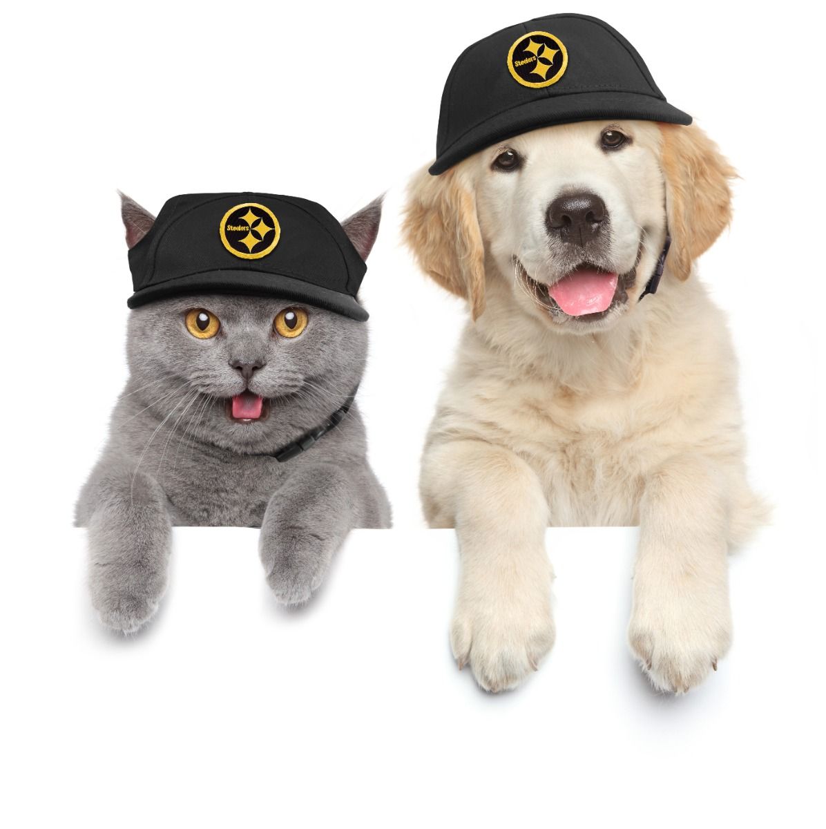 Pittsburgh Steelers Pet Color Rush Baseball Hat