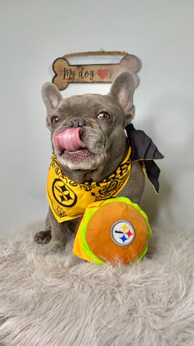 Pittsburgh Steelers Plush Hamburger Pet Toy 3 Pittsburgh Steelers Plush Hamburger Pet Toy